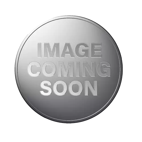 2000 1/20oz Australian Perth Mint Platinum Koala